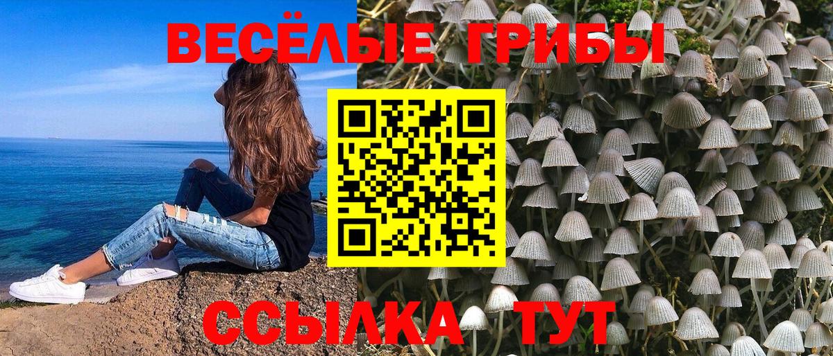 Псилоцибиновые грибы мицелий Реутов
