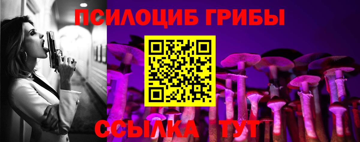 Реутов  Псилоцибиновые грибы Cubensis  Вход с VPN  Галлюциногенные грибы MAGIC MUSHROOMS 